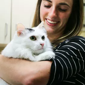 Dr. Madeline Hammond snuggles one her of feline patients