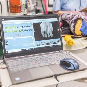 When a dental cleaning procedure is performed at Short Pump Animal Hospital, a trained Licensed Veterinary Technician performs full-mouth radiographs, scaling, probing, and charting any abnormalities.