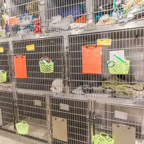 We have clean and spacious kennels for our cats and small animal patients to recover in after procedures or if they are staying for hospital treatment.