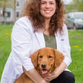 Dr. Julie Fixman earned her degree from Cornell University in 1998, and is now a committed veterinarian and co-owner of South Putnam Animal Hospital. She is a member to a number of professional organizations, including a role as the past president of the Hudson Valley Veterinary Medical Society. At home, Dr. Fixman has a son, daughter, Golden Retriever, cat, and an ever changing number of chickens. She has a very busy family life as a “hockey mom”, and enjoys hiking, cooking, reading, skiing, an
