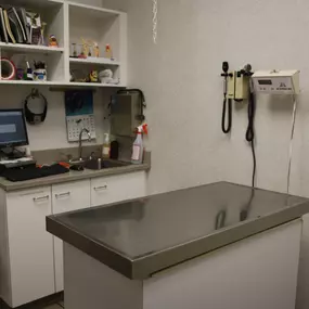 This is one of our exam rooms, where we perform regular wellness exams. At South Putnam Animal Hospital, we recommend at least one yearly wellness exam so that our doctors and technicians can provide and maintain the best treatment possible for your pet.