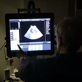 Here Dr. Heiber is analyzing an ultrasound to evaluate a pet's internal organs. Our facilities are fully equipped with the technology and equipment to help out doctors perform accurate and efficient diagnostics for a wide range of conditions.