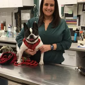 Meet Dr. Jessica Hillyard, a Veterinarian at South Putnam Animal Hospital.