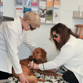 Dr. Heiber and Dr. Fixman are wearing protective sunglasses because they’re performing laser therapy! This form of treatment is completely painless and promotes cell regeneration by using light to energize certain areas of the body into healing itself.