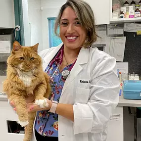 Meet Dr. Rebecca Gill, an Associate Veterinarian with South Putnam Animal Hospital.