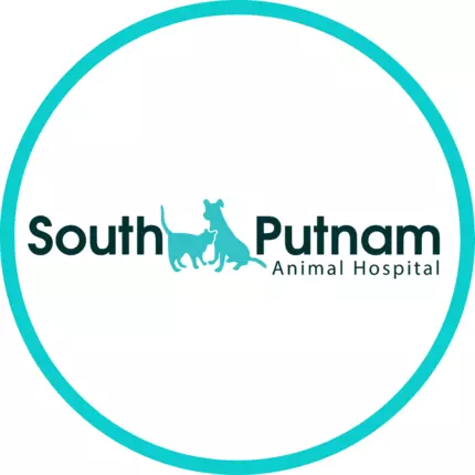 Logo from South Putnam Animal Hospital