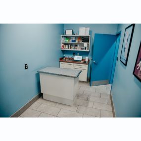 One of our Stevenson Village Veterinary Hospital exam room - Baltimore, MD