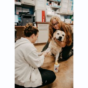 Our Stevenson Village Veterinary Hospital team hard at work - Baltimore, MD