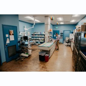 Our Stevenson Village Veterinary Hospital treatment room - Baltimore, MD