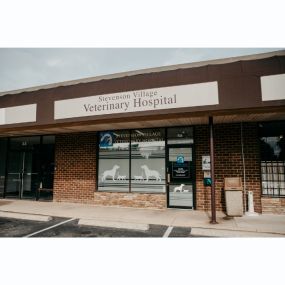 Our Stevenson Village Veterinary Hospital - Baltimore, MD