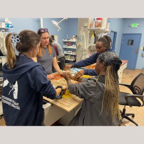 Our Stevenson Village Veterinary Hospital team hard at work - Baltimore, MD