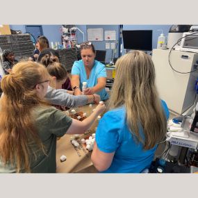 Our Stevenson Village Veterinary Hospital team hard at work - Baltimore, MD