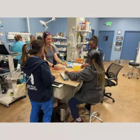 Our Stevenson Village Veterinary Hospital team hard at work - Baltimore, MD