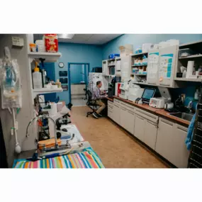 Our Stevenson Village Veterinary Hospital treatment room - Baltimore, MD