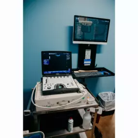 Our Stevenson Village Veterinary Hospital Ultrasound - Baltimore, MD