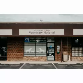 Our Stevenson Village Veterinary Hospital - Baltimore, MD