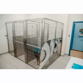 Our Stevenson Village Veterinary Hospital kennel room - Baltimore, MD