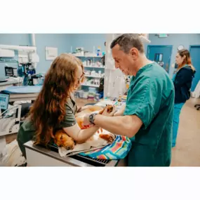 Our Stevenson Village Veterinary Hospital team hard at work - Baltimore, MD