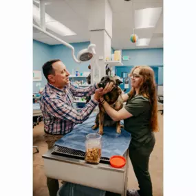 Dr. Feinberg performs an exam on this cute pup!