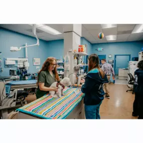 Our Stevenson Village Veterinary Hospital treatment room - Baltimore, MD