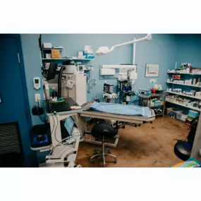 Our Stevenson Village Veterinary Hospital dental suite - Baltimore, MD