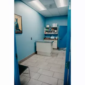 One of our Stevenson Village Veterinary Hospital exam room - Baltimore, MD