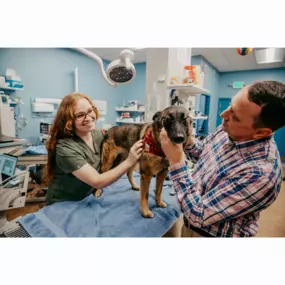 Dr. Feinberg performs an exam on this cute pup!