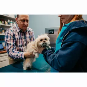 Dr. Feinberg performs an exam on this cute pup!