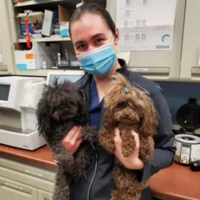 A team member with our patients.