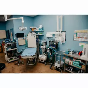 Our Stevenson Village Veterinary Hospital dental suite - Baltimore, MD