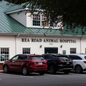 At Rea Road Animal Hospital, we strive to strengthen the special bond between our patients and their owners through a warm bedside manner. Patients of Rea Road Animal Hospital can expect to be treated with warmth and clarity so that both animals and humans feel welcomed at our practice.
