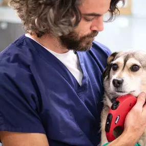 Our technicians are trained to hold our patients so that pet's feel as safe and comfortable as possible.