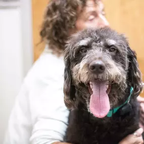 We have some of the cutest patients!