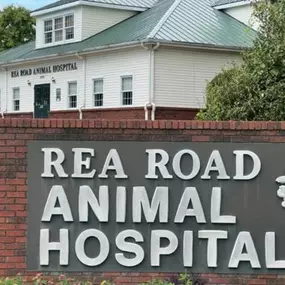 Trusted Vets in Charlotte, NC | Rea Road Animal Hospital