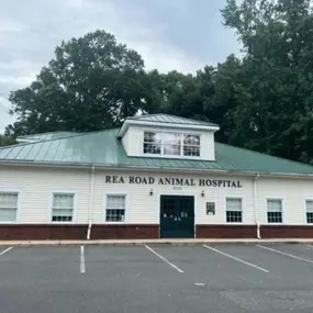 Your local Charlotte NC vets! Rea Road Animal Hospital is dedicated to providing high-quality, personalized veterinary medicine for pets in the Charlotte area.