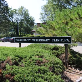 Since 1974, we’ve provided modern and reliable veterinary care for the dogs and cats of Sussex County.