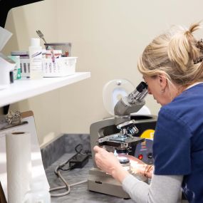A veterinary technician examines a sample using a microscope in our on-site diagnostic laboratory.