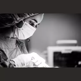 Veterinarian performing surgery on a small animal patient at The Pet Doctor in Cottleville, MO.