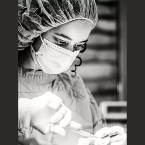 Veterinarian performing surgery on a small animal patient at The Pet Doctor in Cottleville, MO.