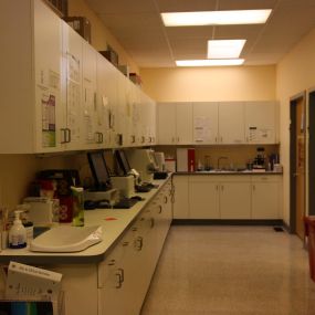 The backrooms of our clinic are always kept very clean and tidy to meet the standards of care your pet deserves.