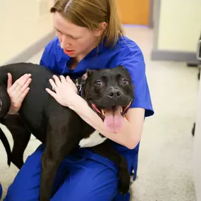 One of our vet techs embracing a patient during a routine nail clipping. Look at that big ol’ smile!