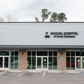 At The Animal Hospital of North Charleston, you’ll find a dedicated, compassionate team of veterinary professionals committed to providing outstanding service to your whole family.