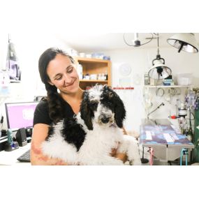 We love pets, and pets love us! Our veterinary team has years of experience caring for 
North Charleston’s special pets.