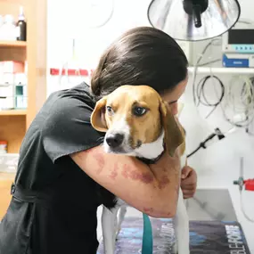 A veterinary technician cuddles up to one of our adorable patients.