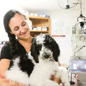 We love pets, and pets love us! Our veterinary team has years of experience caring for 
North Charleston’s special pets.