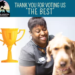 The entire team at the Animal Hospital of North Charleston would like to take a moment to thank you for voting us 'Best Veterinary Clinic/Animal Hospital' for Charleston's Choice of 2020. This honor means so much to us, and we look forward to continue providing only the BEST in veterinary medicine.