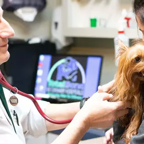 Dr. Epstein uses a stethoscope to listen to a patient’s heart and lungs.