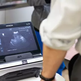 We use digital radiology and ultrasound in order to pinpoint the source of a health issue in your dog or cat. These modern tools allow us to look inside your pet in real time in ways that can be incredibly powerful in forming a diagnosis and treatment plan.