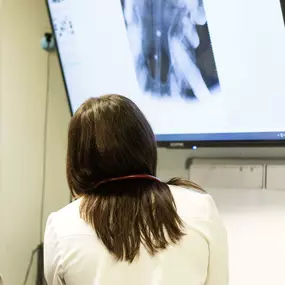 Dr. Sam Sroczyk reviews a digital dental xray.