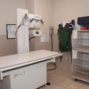 Superior Animal Hospital is fully-equipped with advanced diagnostic technology, like digital radiography, ultrasound, and EKG technologies.